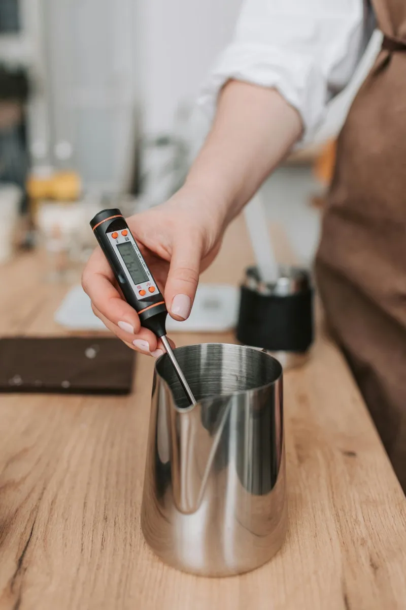 Home cook checking the temperature of grilled meat with a digital instant-read thermometer