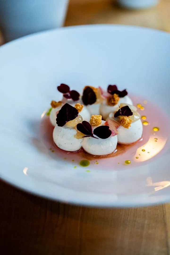 Rhubarb dessert with cherry blossom and shiso at Hoogan et Beaufort Montreal, a delicate, colorful plate with jewel-toned fruit and pale floral elements