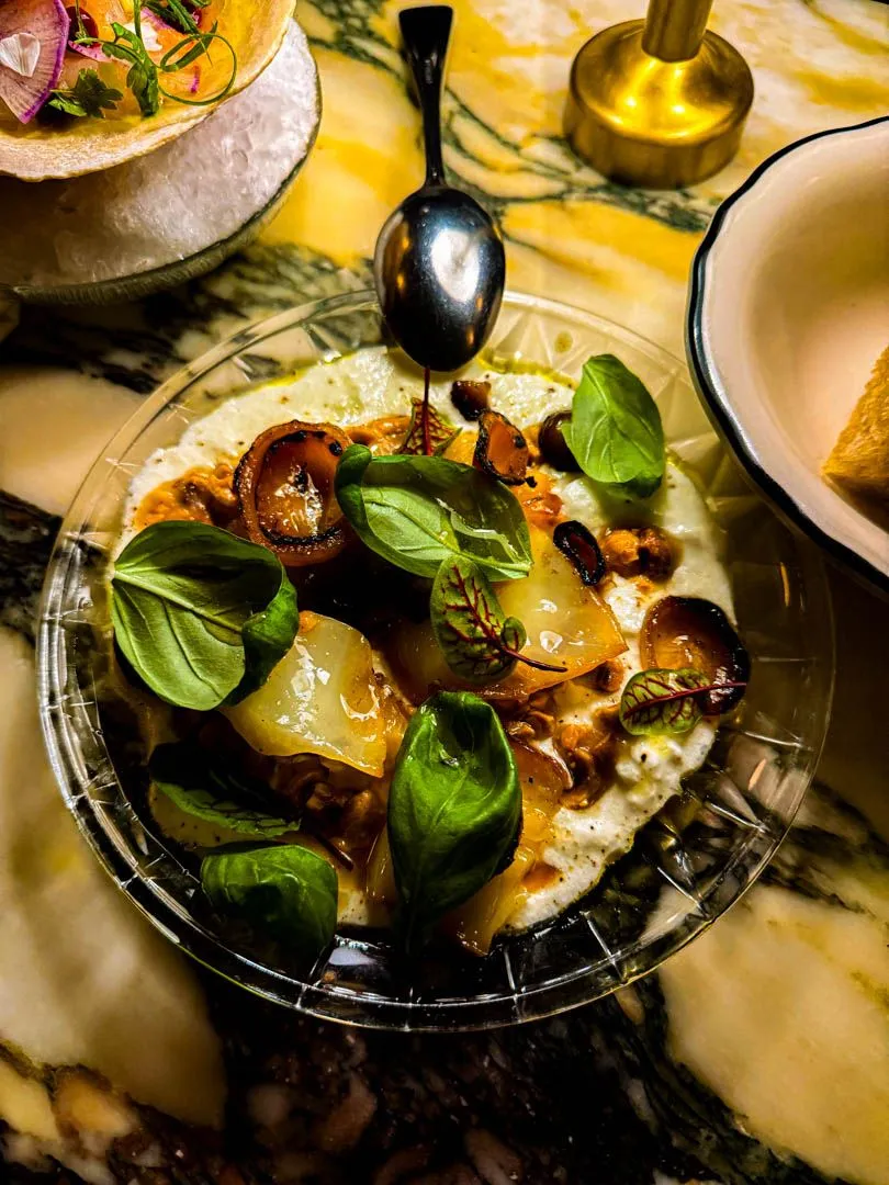 Stracciatella di bufala with basil, braised cabbage, and cipollini onions at Moccione Montreal